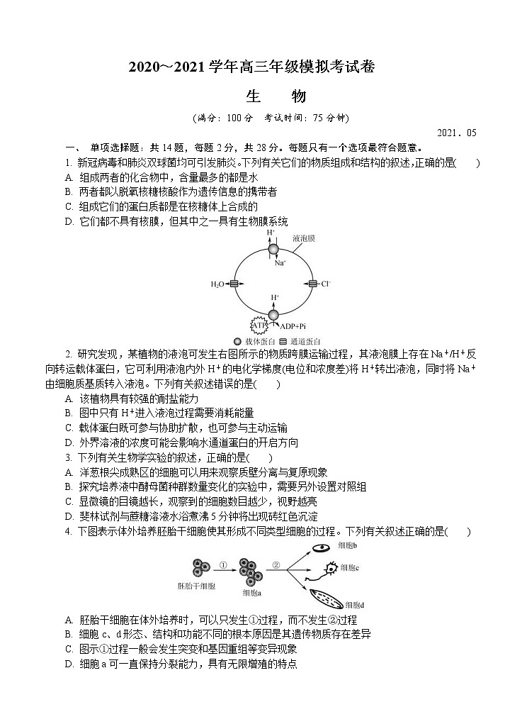 江苏省盐城市2021届高三下学期5月第三次模拟考试 生物（含答案）01