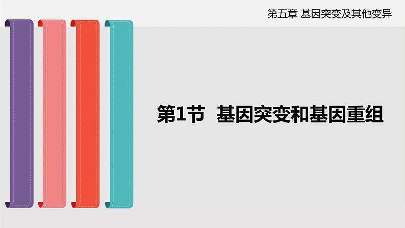高中 生物 人教版 (2019) 必修2《遗传与进化》5.1 基因突变和基因重组第1页