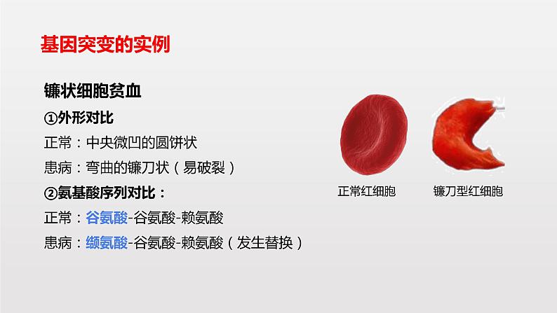 高中 生物 人教版 (2019) 必修2《遗传与进化》5.1 基因突变和基因重组第3页