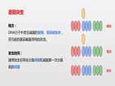 高中 生物 人教版 (2019) 必修2《遗传与进化》5.1 基因突变和基因重组 课件