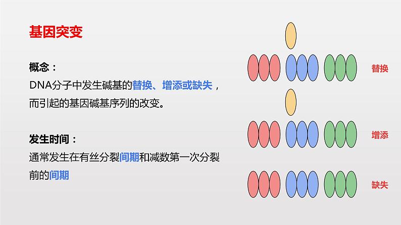 高中 生物 人教版 (2019) 必修2《遗传与进化》5.1 基因突变和基因重组第5页