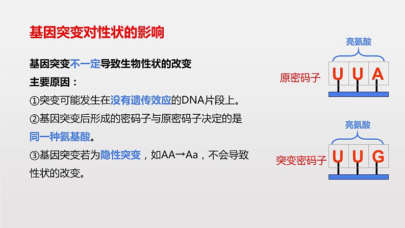 高中 生物 人教版 (2019) 必修2《遗传与进化》5.1 基因突变和基因重组第7页