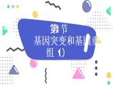 高中 生物 人教版 (2019) 必修2《遗传与进化》5.1 基因突变和基因重组 课件