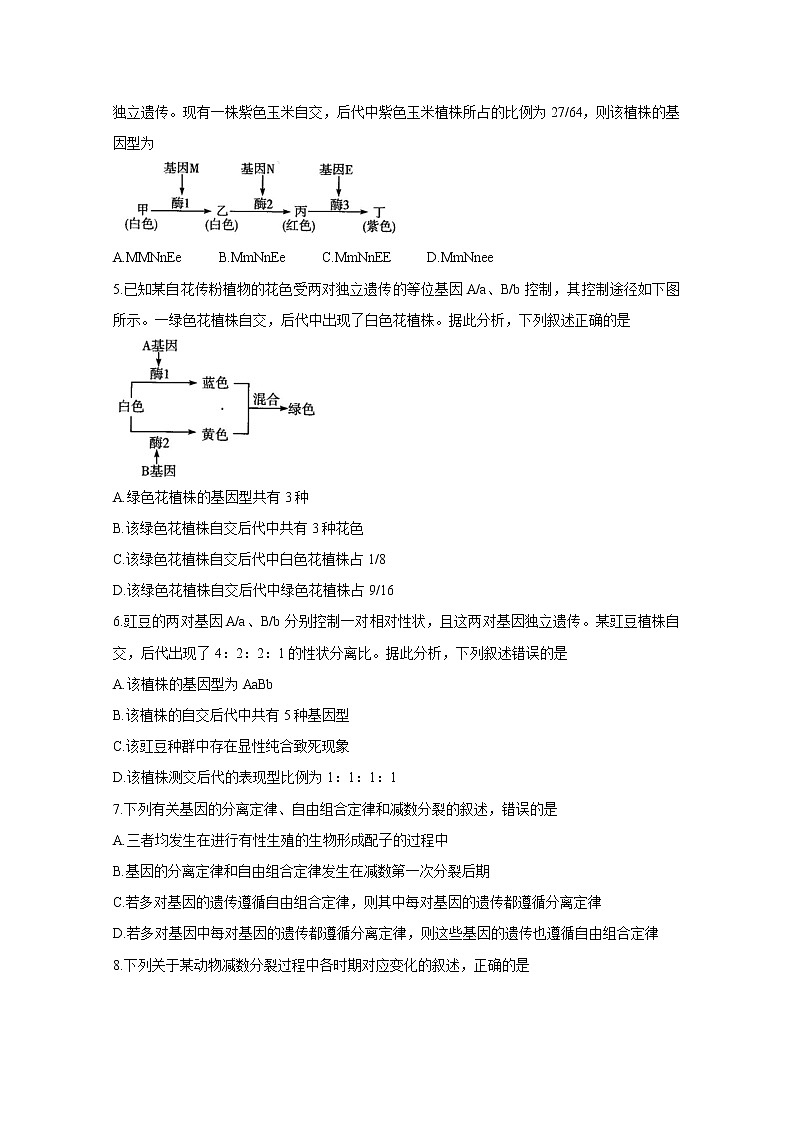 河南省天一大联考2020-2021学年高一下学期期中考试+生物+答案02