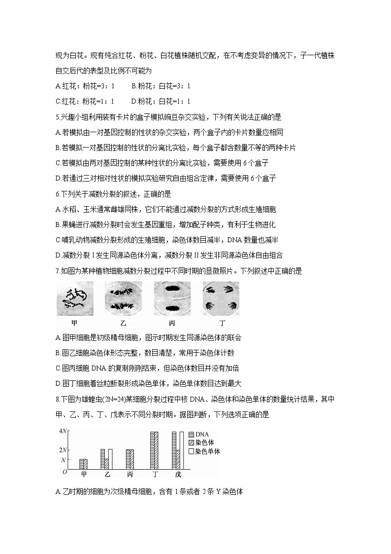 河北省邯郸市九校联盟2020-2021学年高一下学期期中考试+生物+答案02