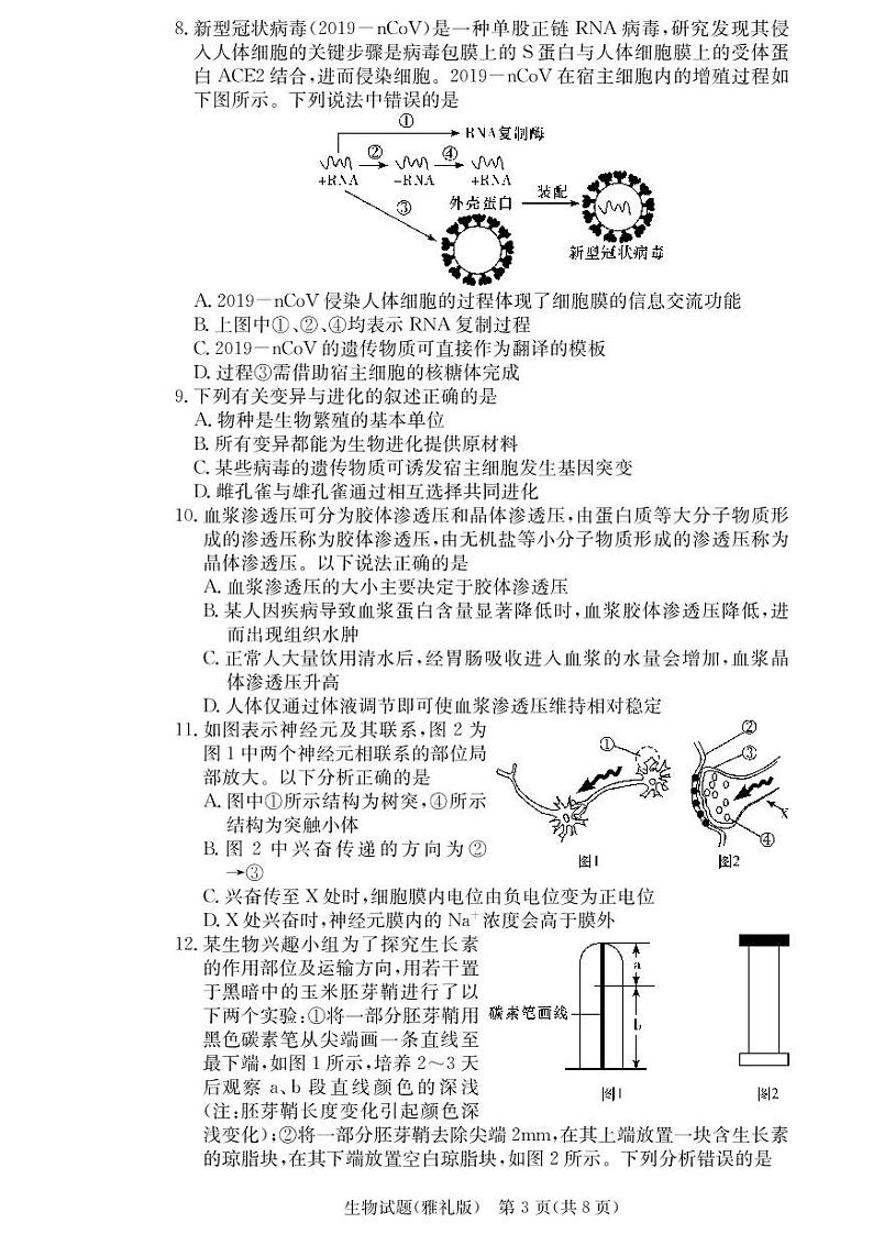 雅礼中学2021届高三6次月考试卷生物（含答题卡）03