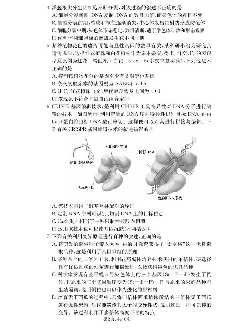 雅礼中学2021届高三第7次月考试卷生物（含答案）02