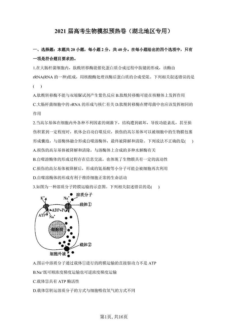 2021届高考生物模拟预热卷（湖北地区专用）01