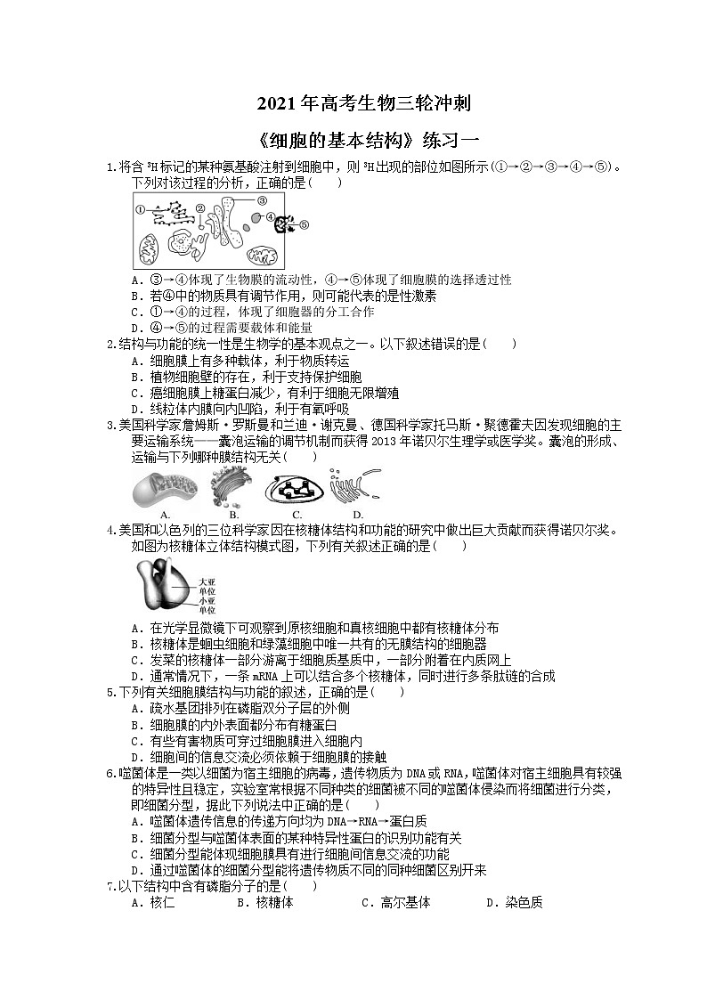 2021年高考生物三轮冲刺《细胞的基本结构》练习一（含答案）01