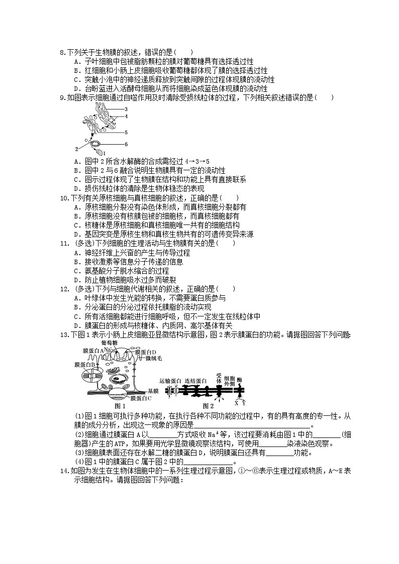 2021年高考生物三轮冲刺《细胞的基本结构》练习一（含答案）02