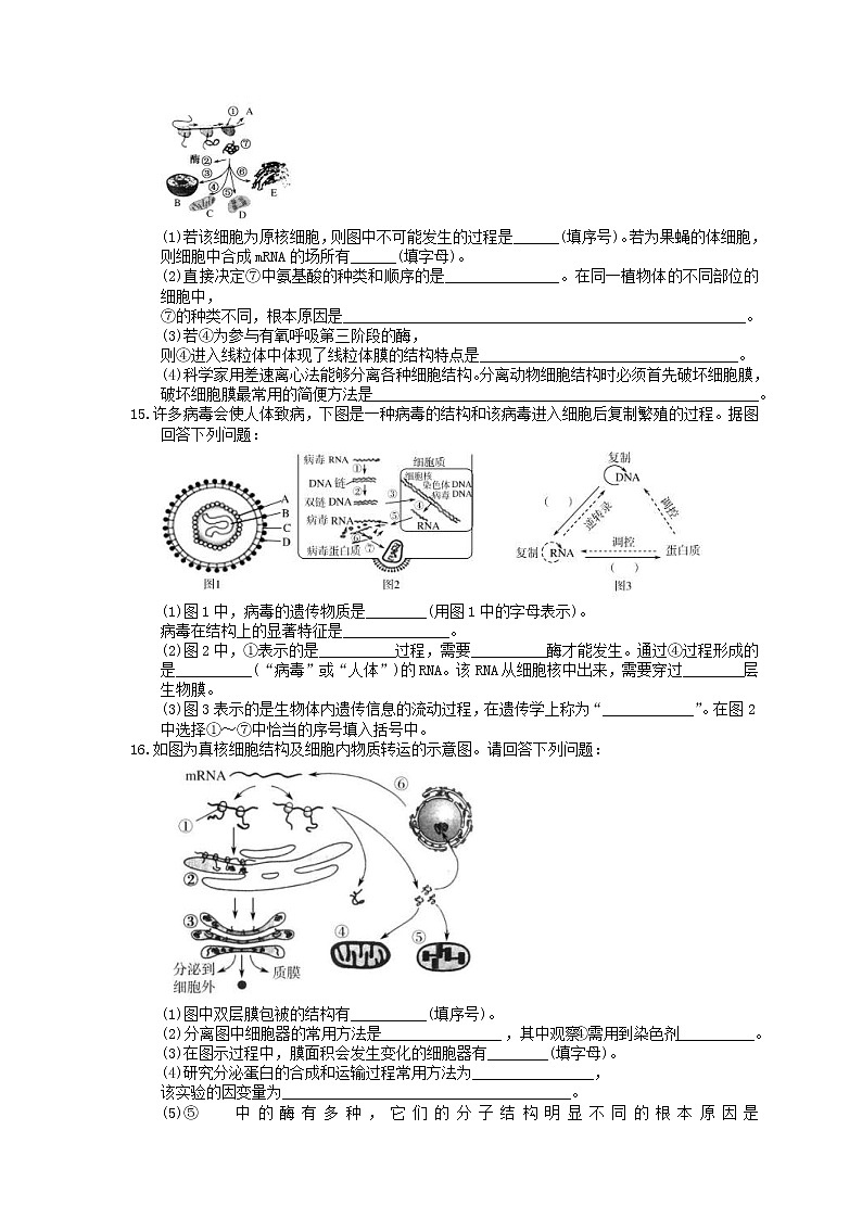 2021年高考生物三轮冲刺《细胞的基本结构》练习一（含答案）03