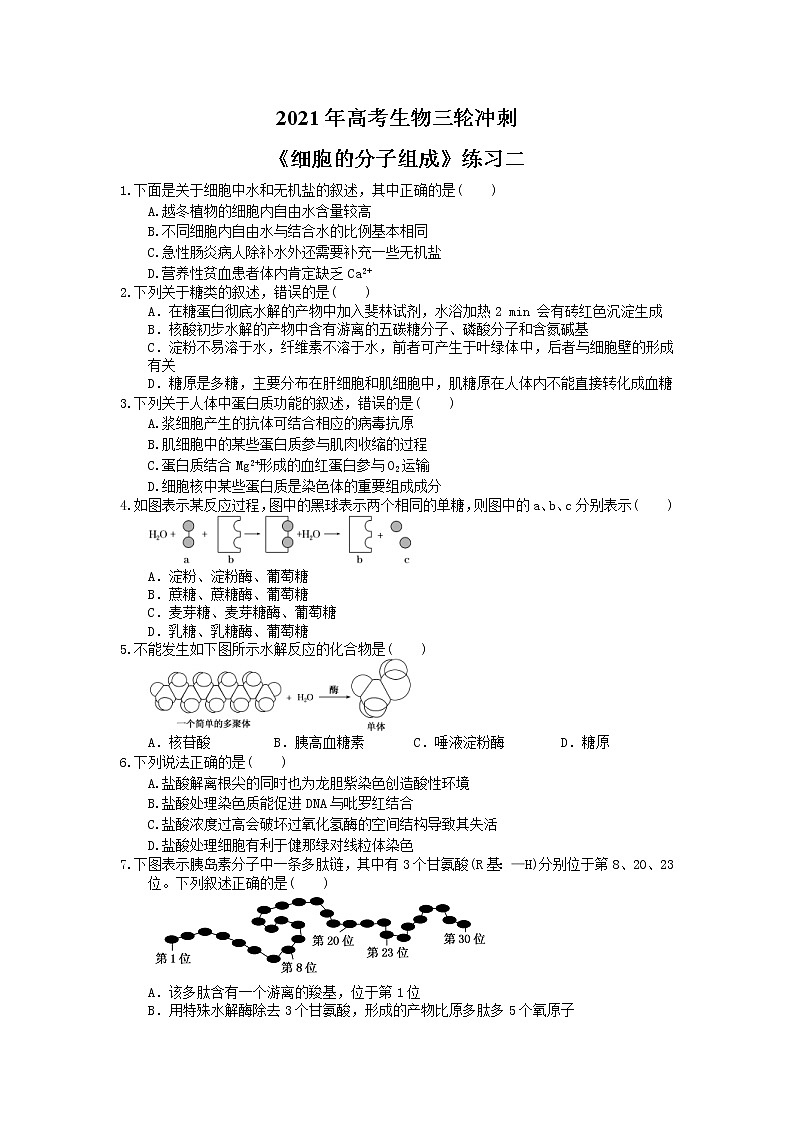 2021年高考生物三轮冲刺《细胞的分子组成》练习二（含答案）01