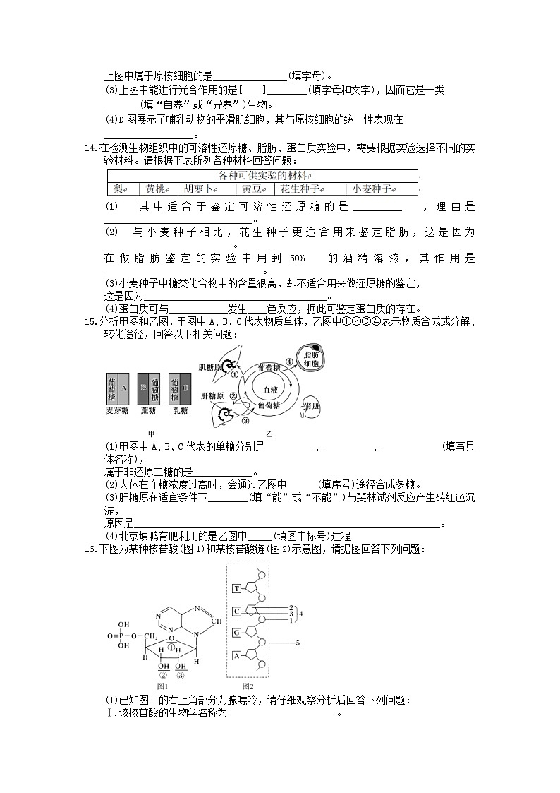 2021年高考生物三轮冲刺《细胞的分子组成》练习二（含答案）03