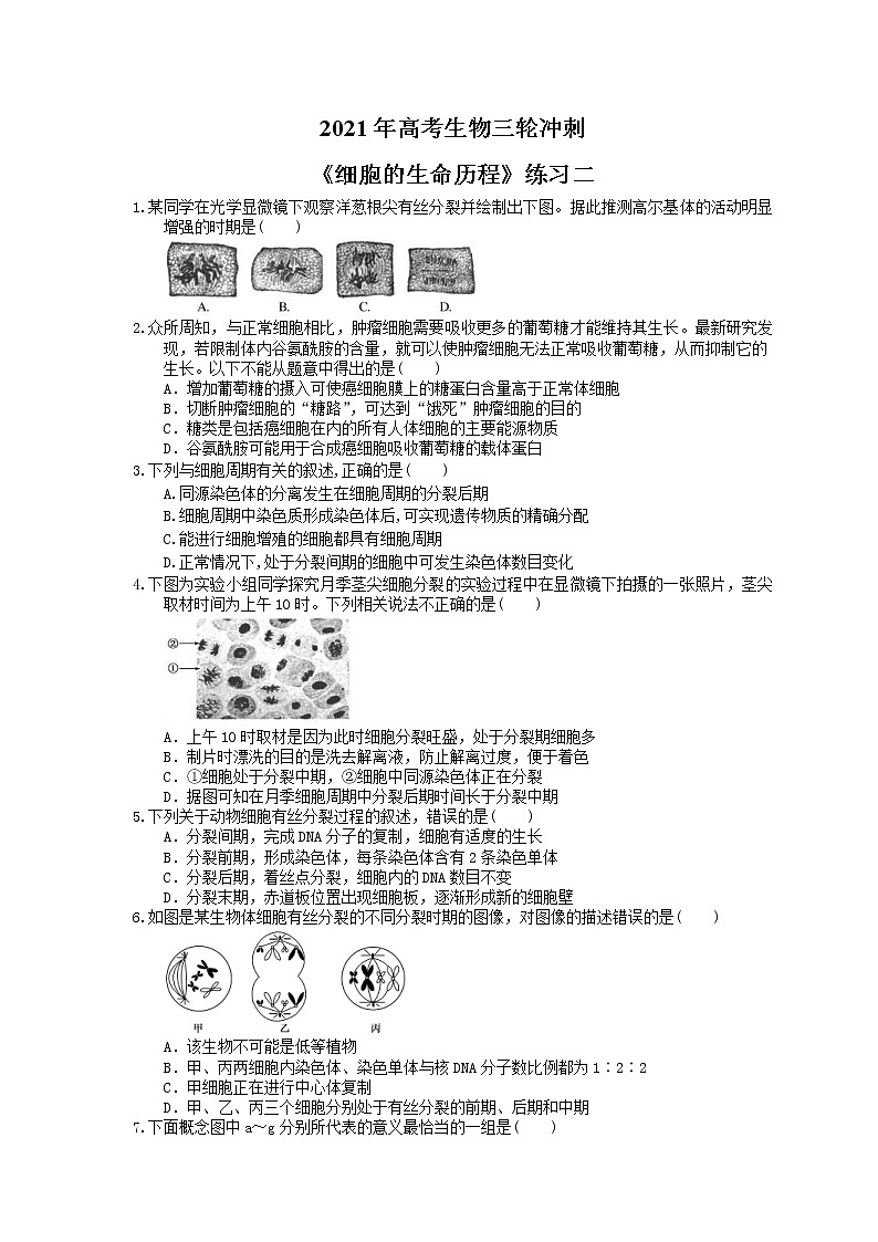 2021年高考生物三轮冲刺《细胞的生命历程》练习二（含答案）01