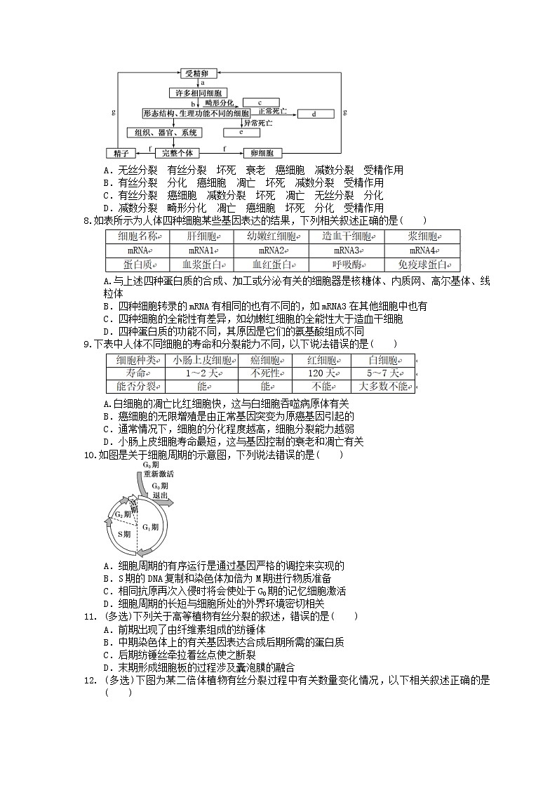 2021年高考生物三轮冲刺《细胞的生命历程》练习二（含答案）02