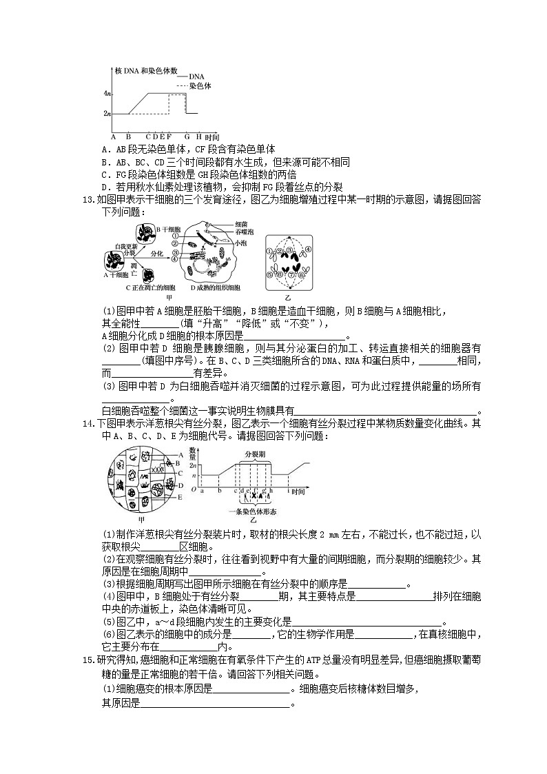 2021年高考生物三轮冲刺《细胞的生命历程》练习二（含答案）03