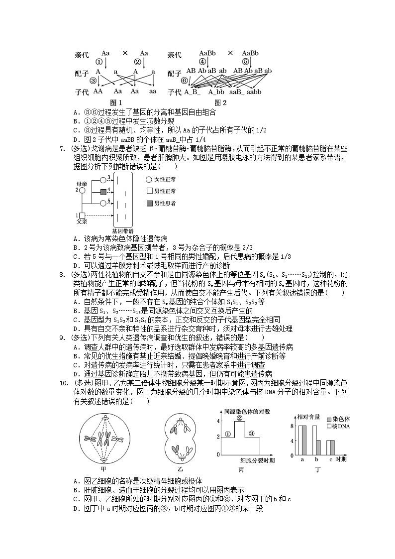 2021年高考生物三轮冲刺《遗传与进化》练习三（含答案）02