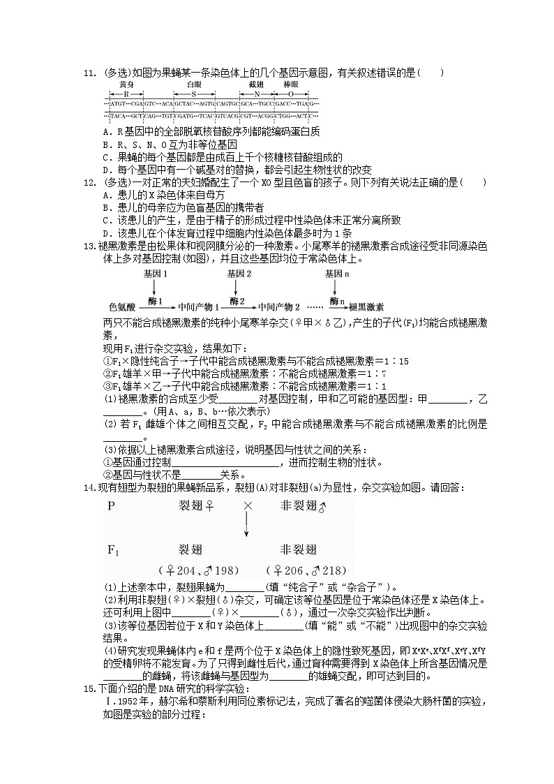 2021年高考生物三轮冲刺《遗传与进化》练习三（含答案）03