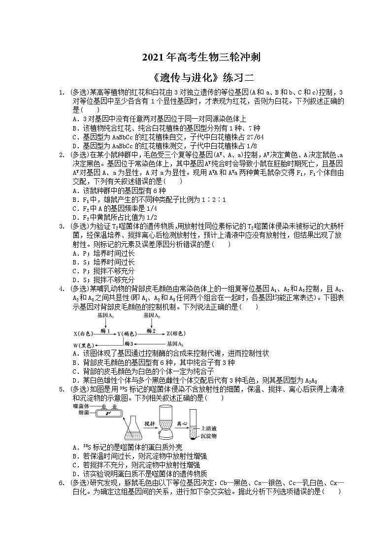 2021年高考生物三轮冲刺《遗传与进化》练习二（含答案）01