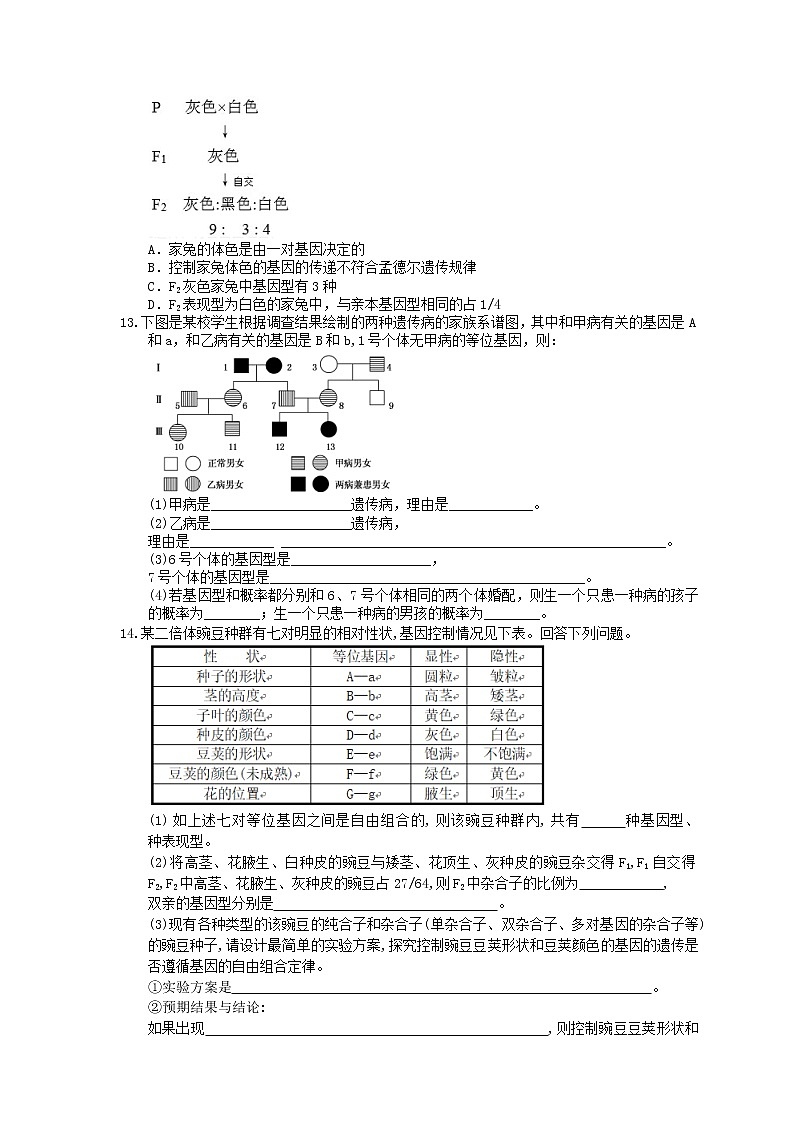 2021年高考生物三轮冲刺《遗传与进化》练习二（含答案）03