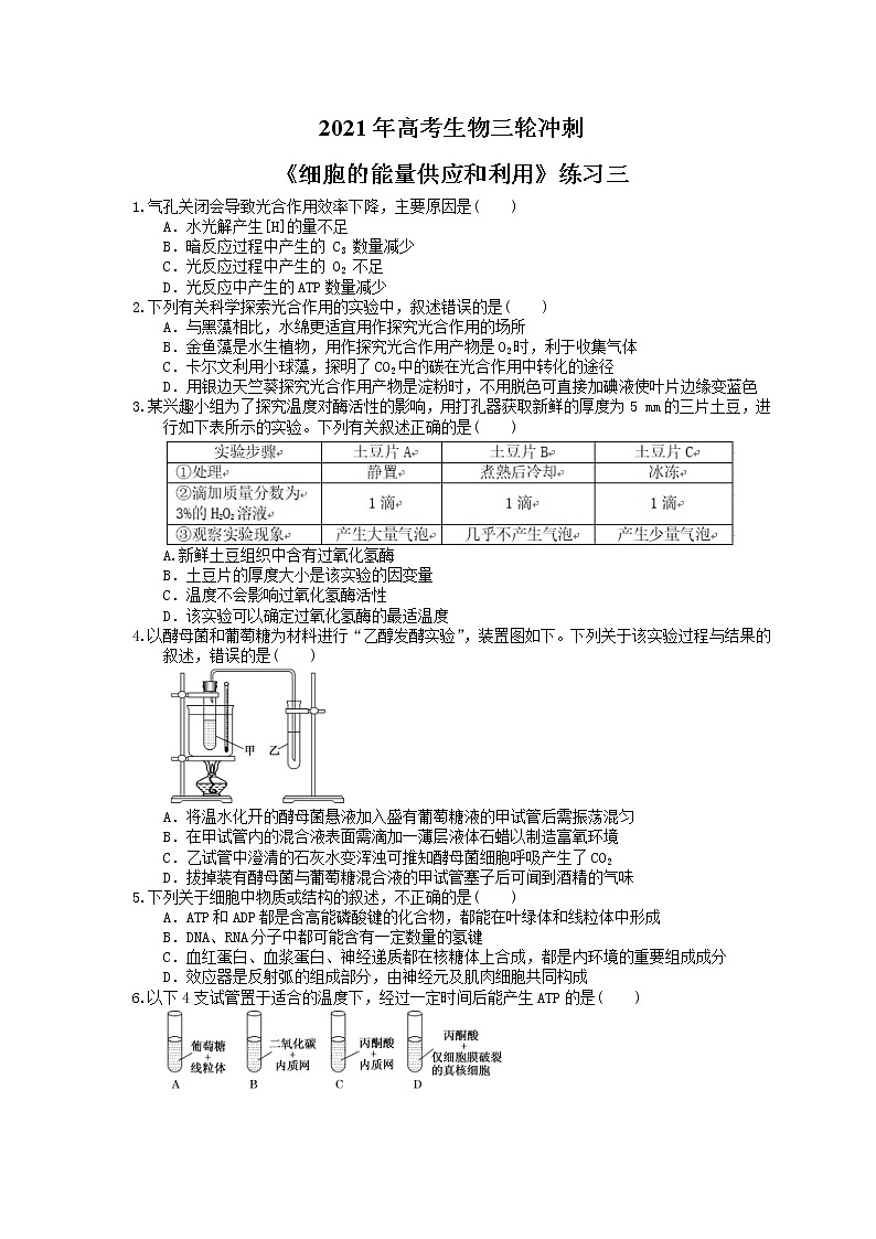 2021年高考生物三轮冲刺《细胞的能量供应和利用》练习三（含答案）第1页