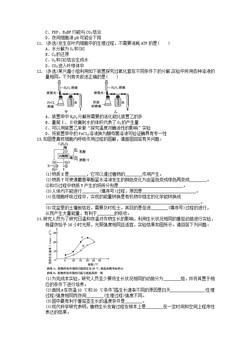 2021年高考生物三轮冲刺《细胞的能量供应和利用》练习二（含答案）第3页