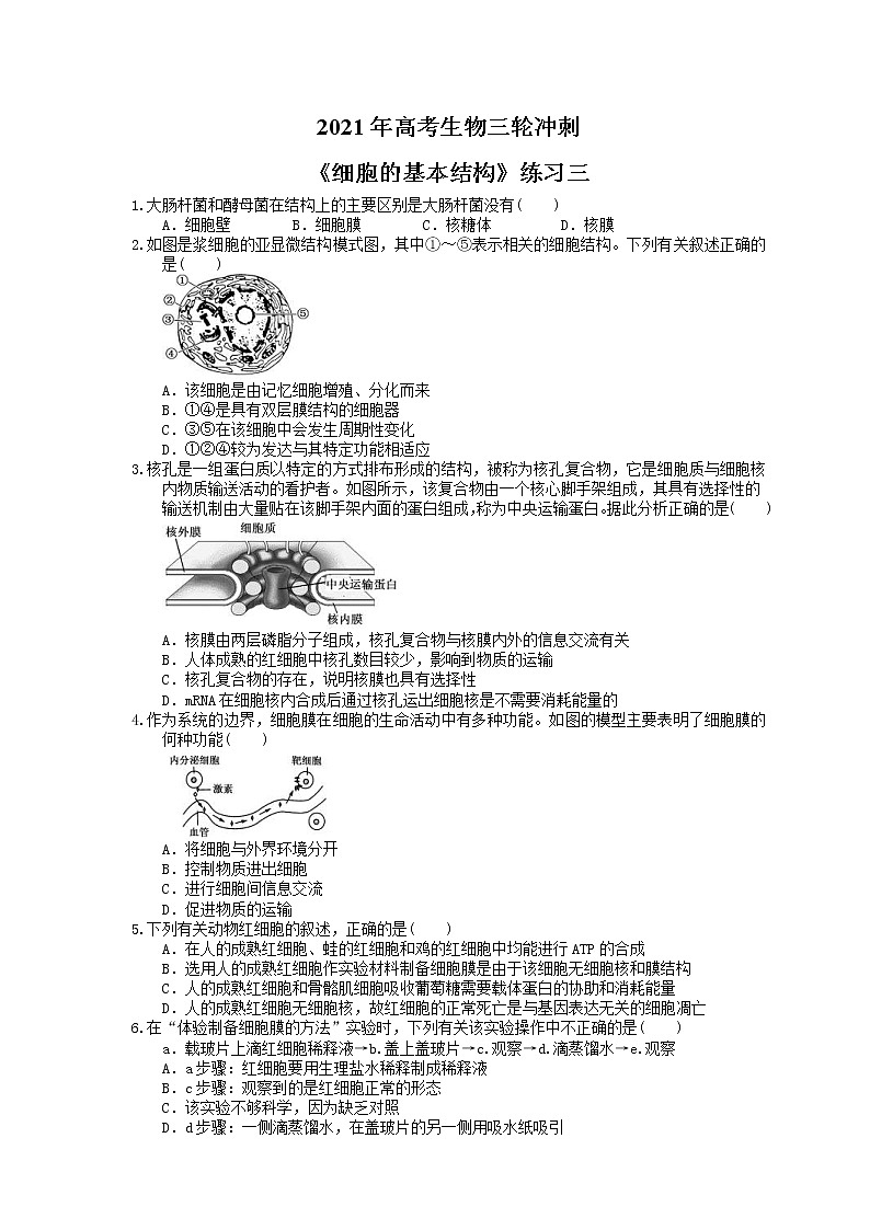 2021年高考生物三轮冲刺《细胞的基本结构》练习三（含答案）第1页
