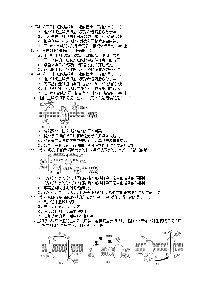 2021年高考生物三轮冲刺《细胞的基本结构》练习三（含答案）第2页