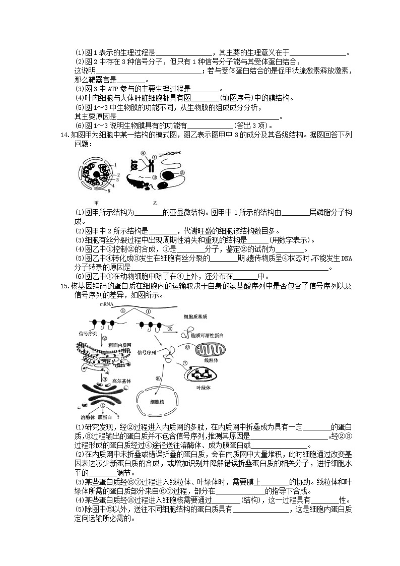 2021年高考生物三轮冲刺《细胞的基本结构》练习三（含答案）第3页