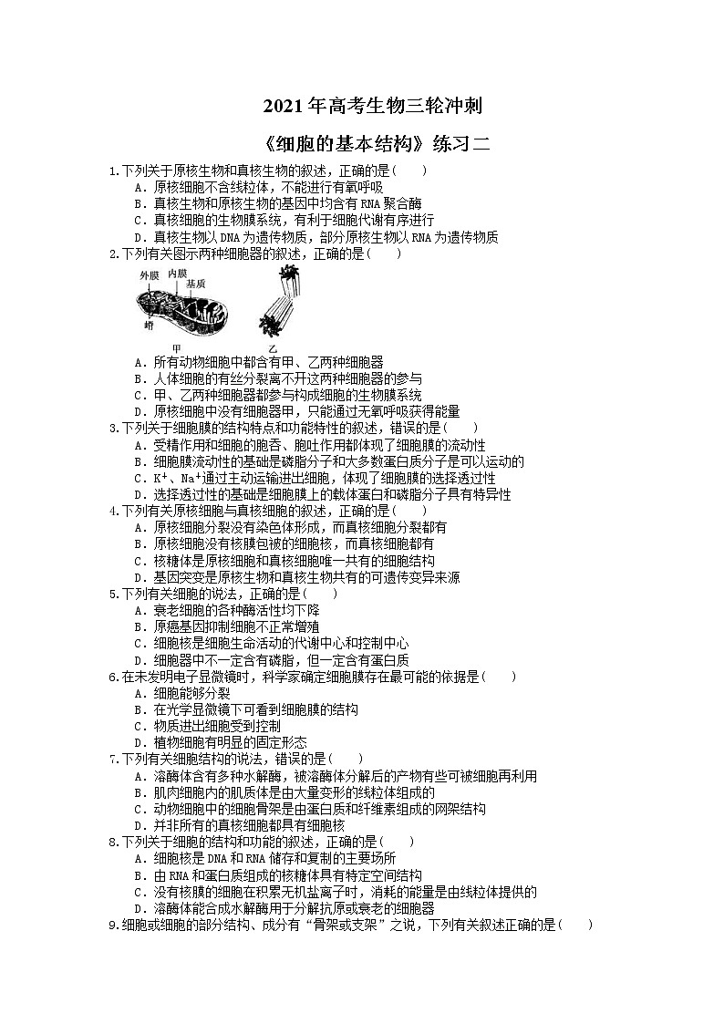 2021年高考生物三轮冲刺《细胞的基本结构》练习二（含答案）01