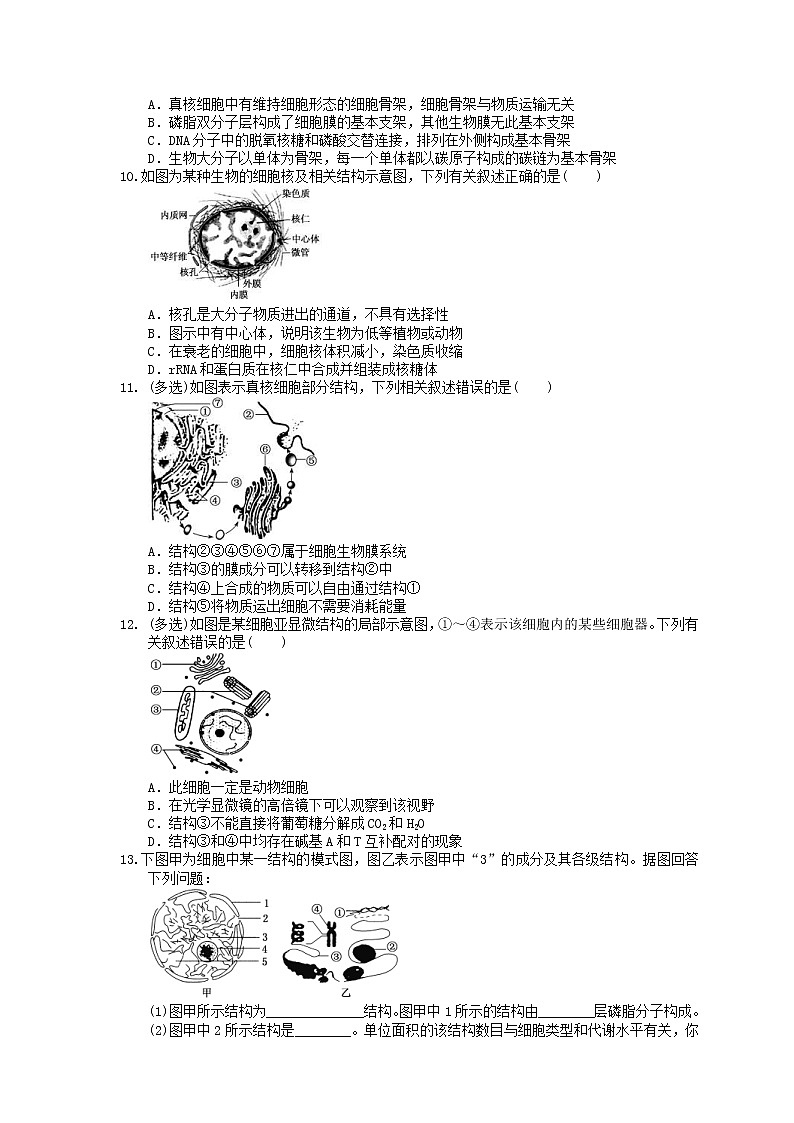 2021年高考生物三轮冲刺《细胞的基本结构》练习二（含答案）02