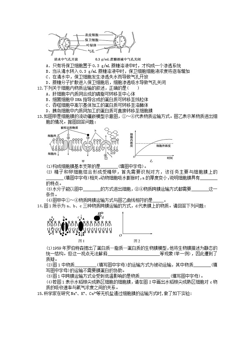 2021年高考生物三轮冲刺《细胞的物质输入和输出》练习一（含答案）03
