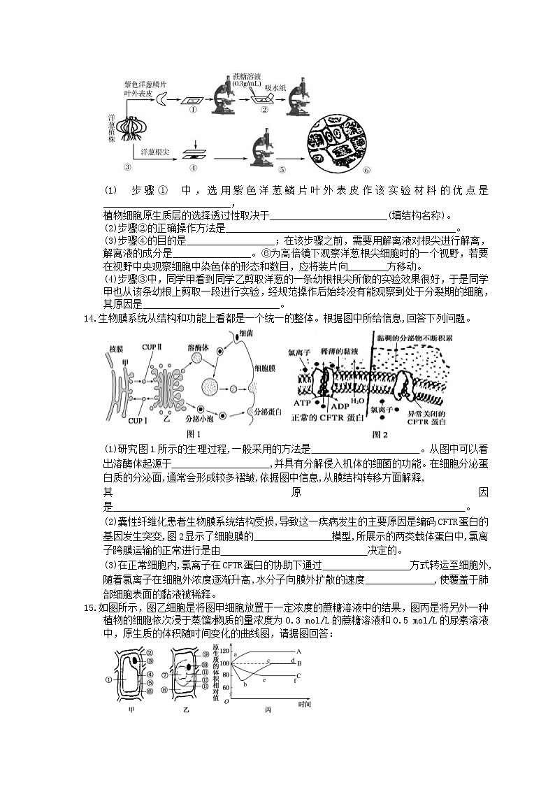 2021年高考生物三轮冲刺《细胞的物质输入和输出》练习二（含答案）第3页