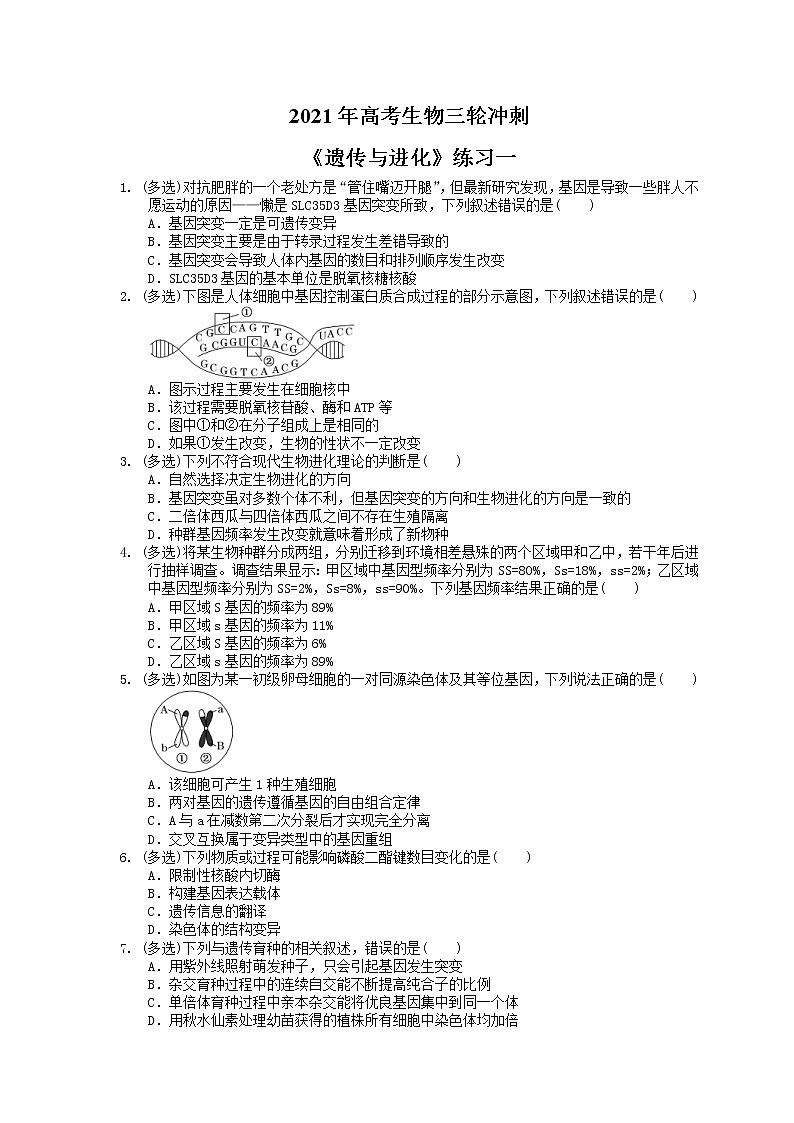 2021年高考生物三轮冲刺《遗传与进化》练习一（含答案）01