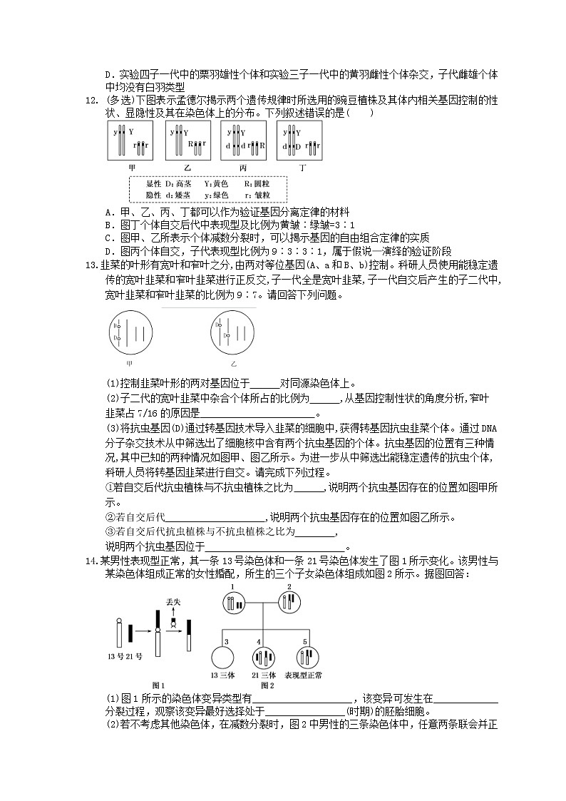 2021年高考生物三轮冲刺《遗传与进化》练习一（含答案）03