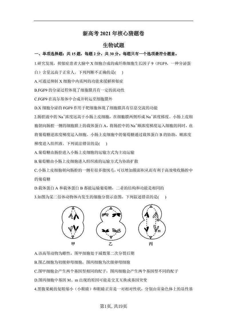 2021届新高考名师原创核心猜题卷-生物试题（含解析）01