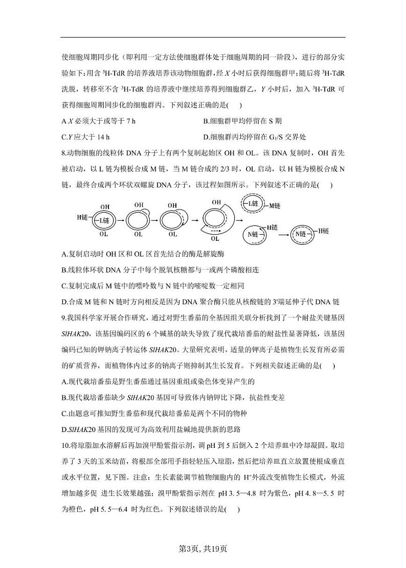 2021届新高考名师原创核心猜题卷-生物试题（含解析）03