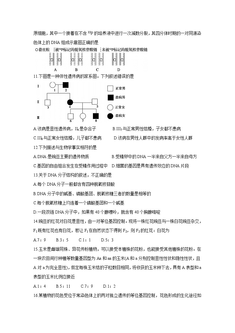 山东省济宁市兖州区2020-2021学年高一下学期期中考试+生物+答案03