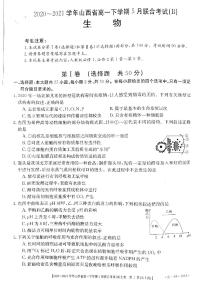 山西省2020-2021学年高一下学期5月联合考试生物试卷+答案 (PDF版)