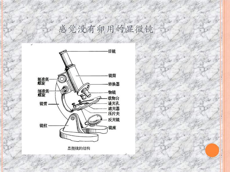 2021高考生物三轮冲刺 生物知识点之细胞06