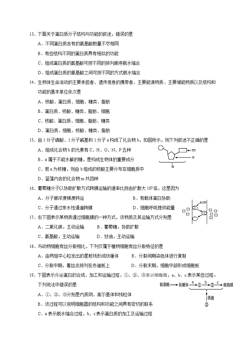 广西桂林市第十八中学2020-2021学年高二下学期期中考试生物试题+答案03