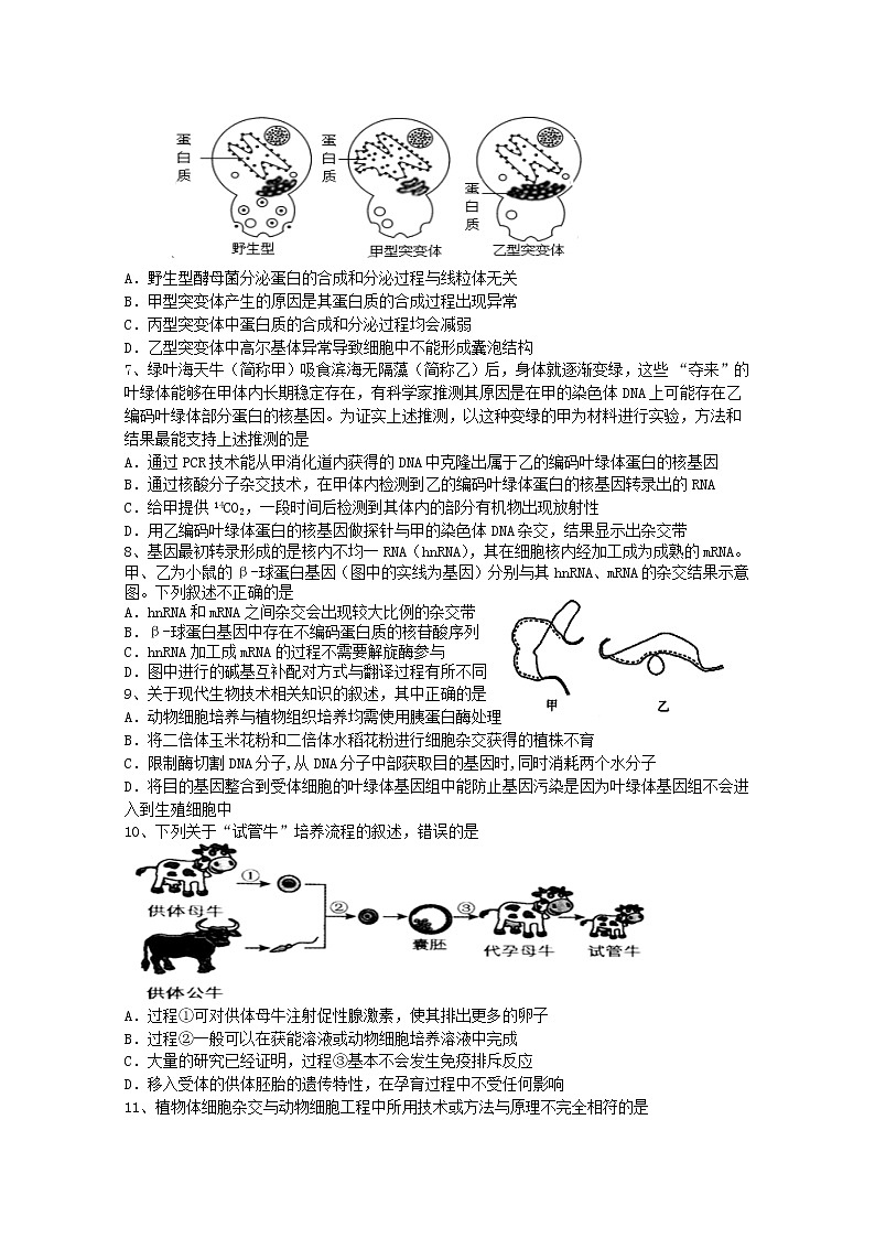 江苏省扬州中学20210-2021学年高二下学期5月月考试题：生物+答案02