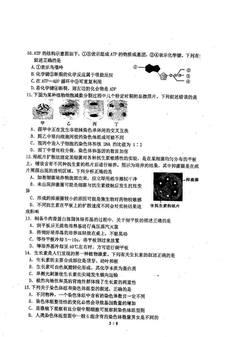 浙江省杭州第二中学2021届高三下学期最后一次热身考试生物试题+答案 (PDF版)03