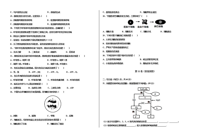 甘肃省武威第十八中学2020-2021学年高一下学期期中考试生物试题+答案02
