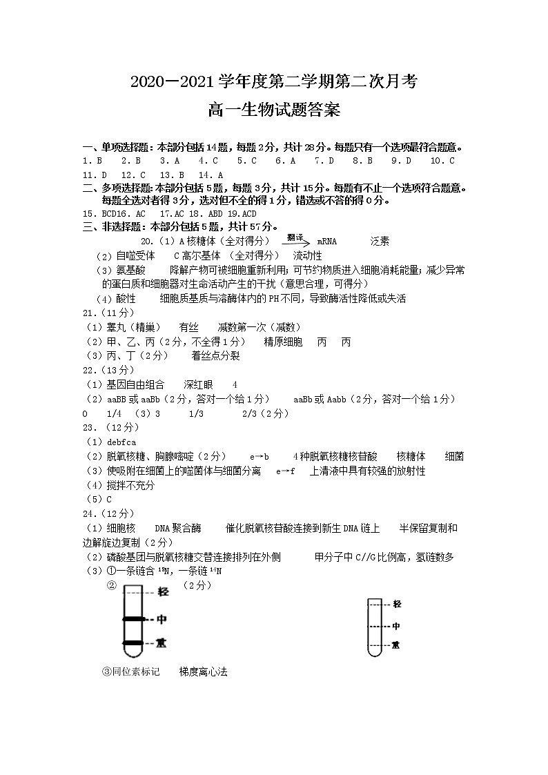 江苏省启东中学2020-2021学年高一下学期第二次月考生物试卷+答案01