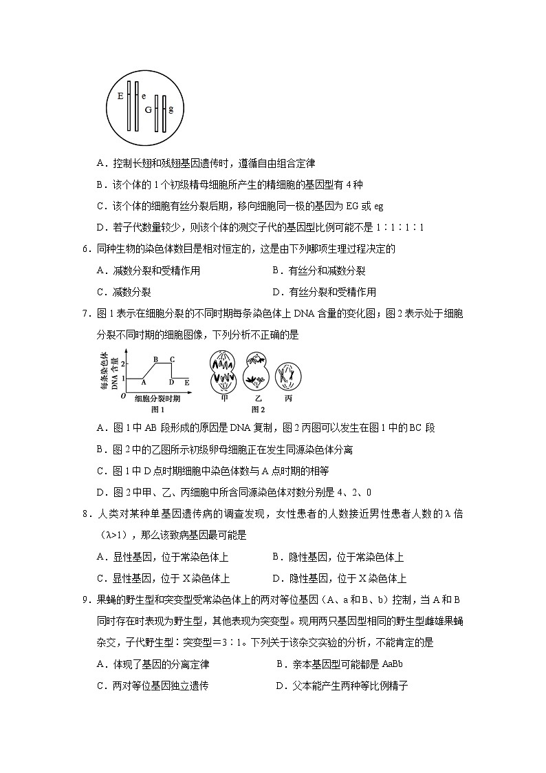 （新教材）2020-2021学年下学期高一期末备考金卷 生物02