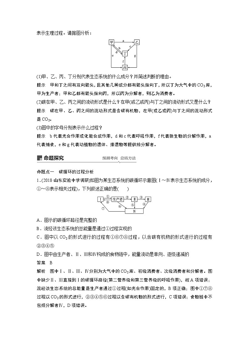 高考生物专题复习第31讲　生态系统的物质循环、信息传递及其稳定性03