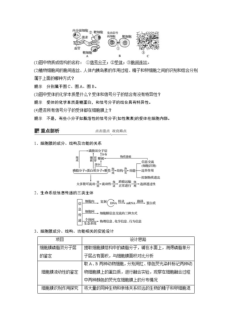 高考生物专题复习第4讲　细胞膜和细胞核03