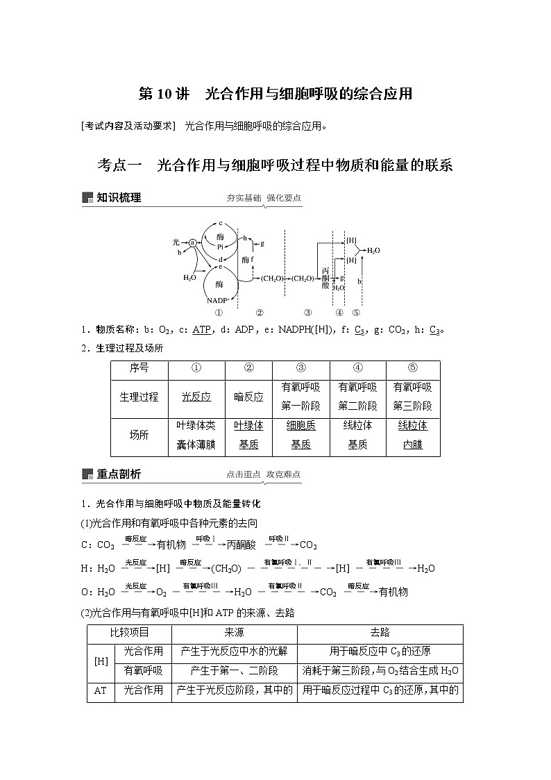 高考生物专题复习第10讲　光合作用与细胞呼吸的综合应用01