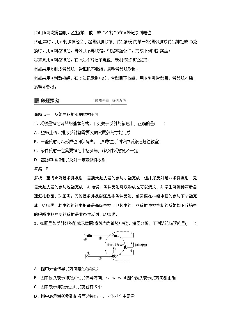高考生物专题复习第24讲　通过神经系统的调节03